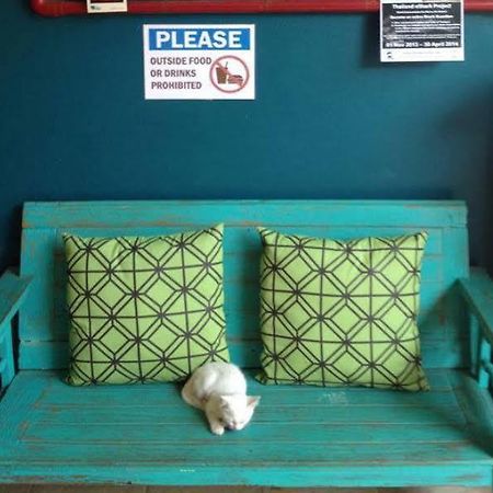קאו לק Monkey Dive Hostel Khaolak מראה חיצוני תמונה